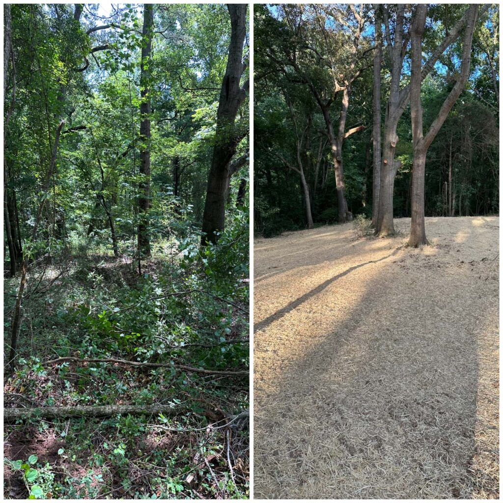 property cleared by Francis Brothers, before and after photos