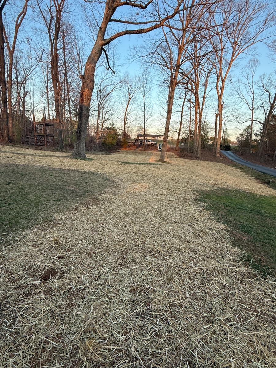 grading completed to fix a drainage issue. Seed and straw laid after the grading was done.