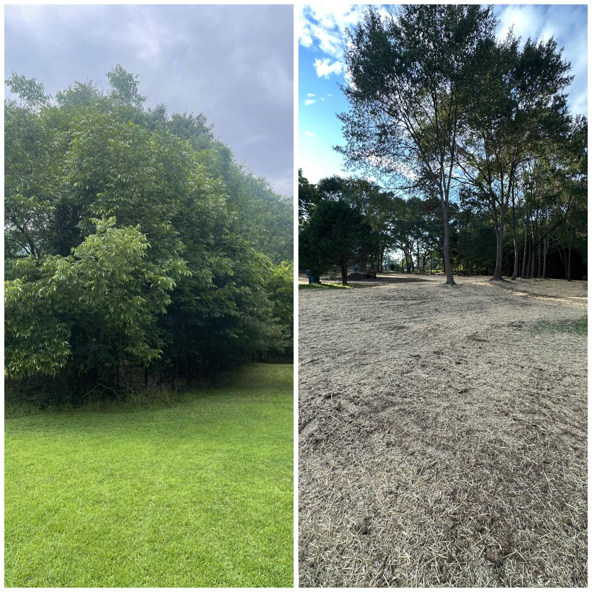 Land Clearing-Land Managment-Property Clean up