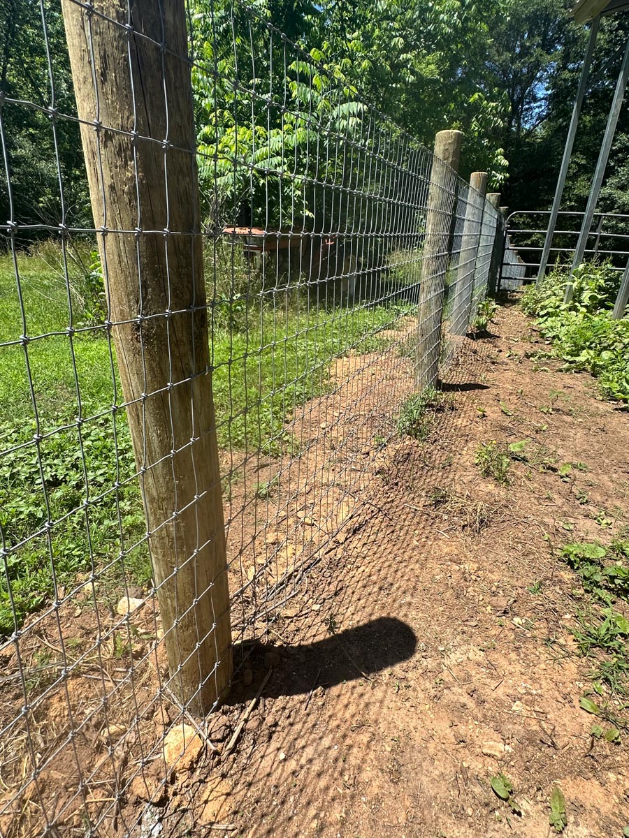 livestock fence installed by Francis Brothers LLC