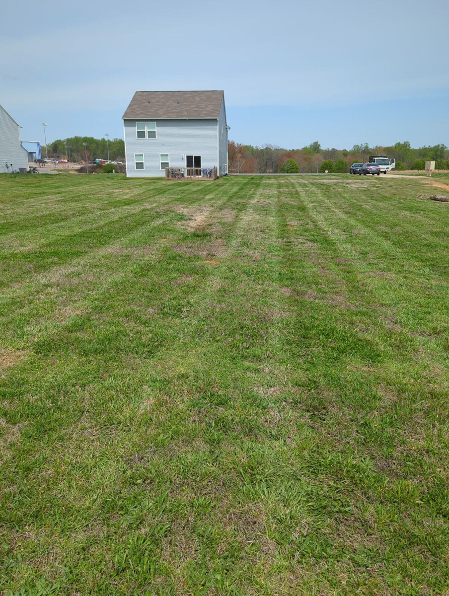 bi weekly lawn mowing services completed by Francis Brothers