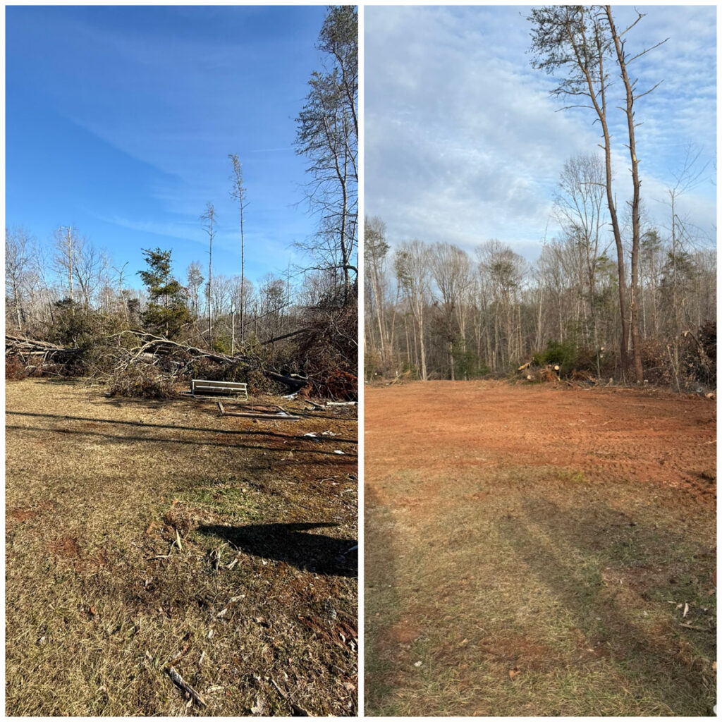 before and after image showing tree removal and cleanup completed by Francis Brothers