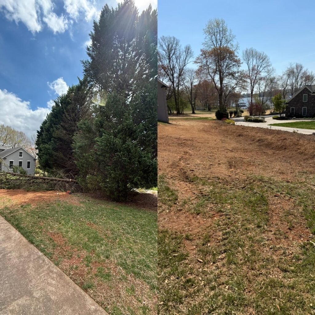 Before and after image showing several large trees removed near a home and driveway