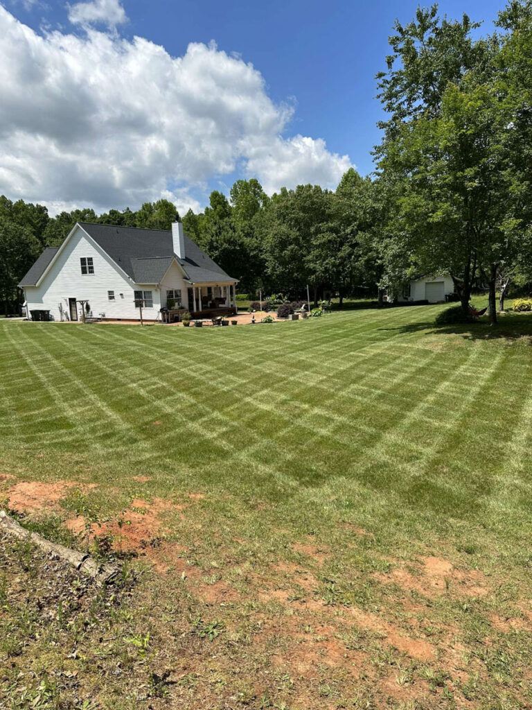 lawn mowed by Francis Brothers