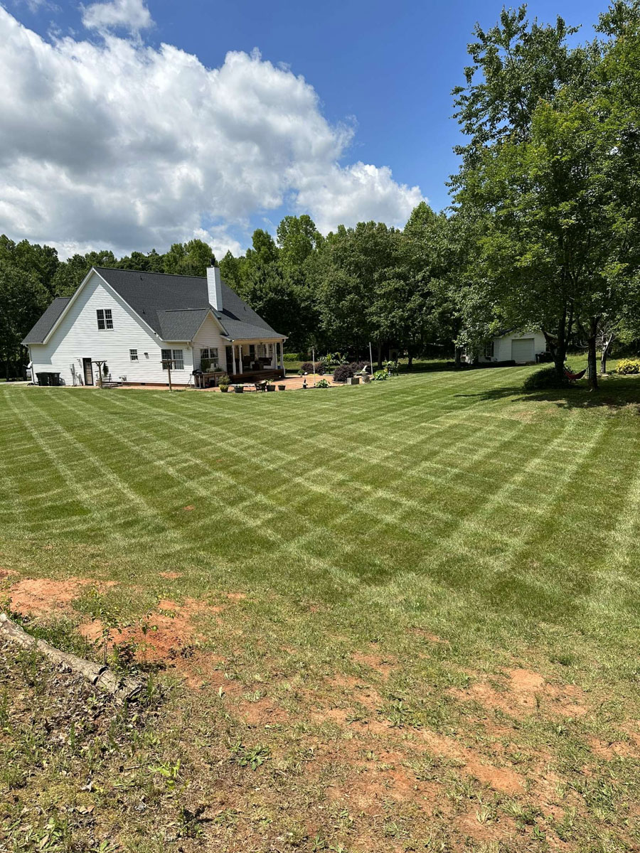 lawn mowed by Francis Brothers
